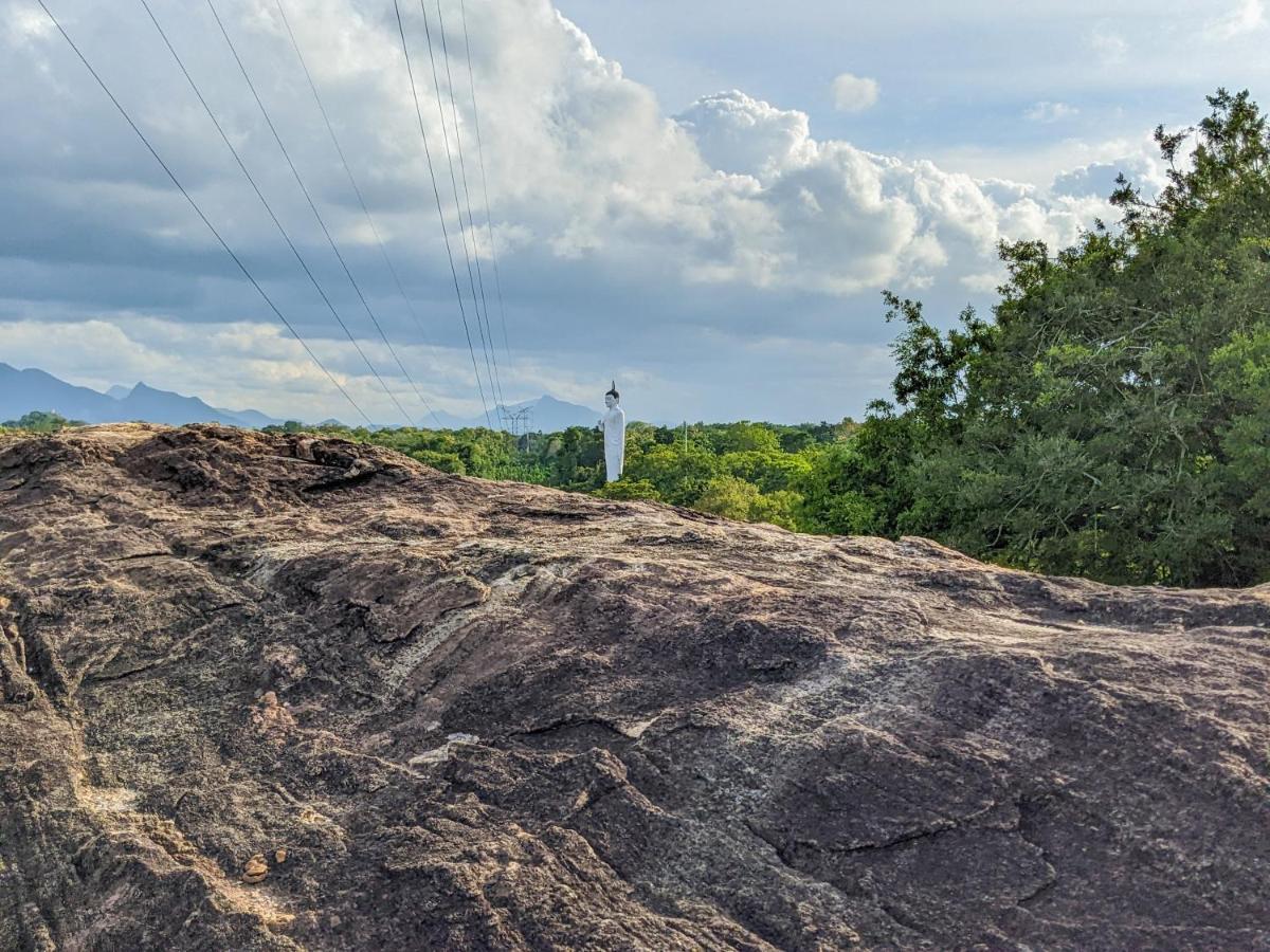 Choona Lodge 'View Of Sigiriya & Pidurangala With Sunrise' Exterior photo
